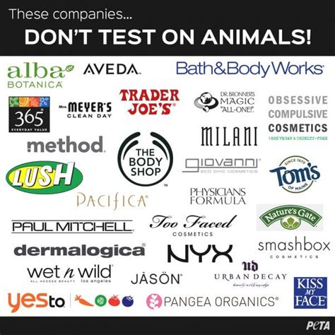 chanel is cruelty free|brands that use animal testing.